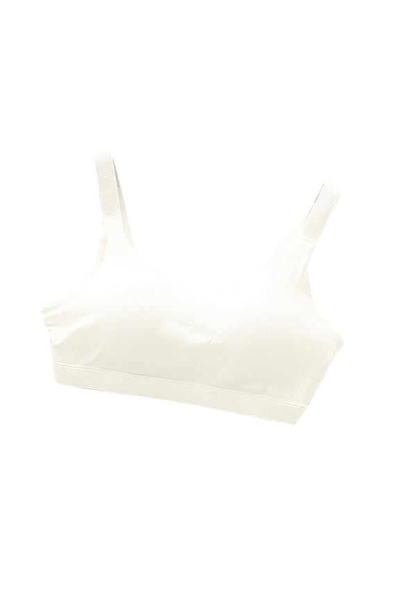 Women's Sport Bras Seamless No Underwire Comfortable for Women Full Coverage Bralettes