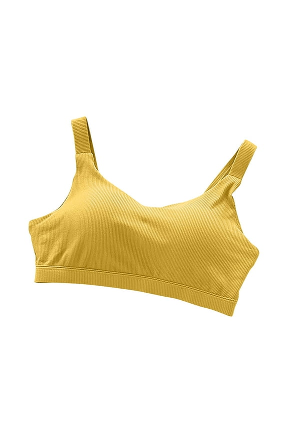 Women's Sport Bras Seamless No Underwire Comfortable for Women Full Coverage Bralettes