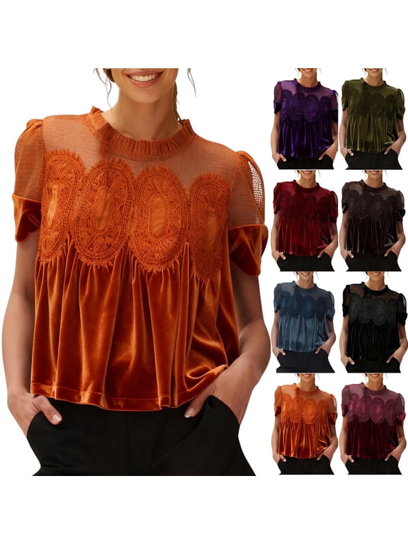Velvet Tops for Women Vintage Embroidery Velour Cropped Shirts Puff Short Sleeve Lace Trimmed Blouse Elegant Loose Flared Swing Top