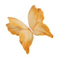 thumbnail image 1 of yotijay Artificial Butterfly Decoration DIY Giant Butterfly for Wedding Bedroom Wall Orange, 1 of 9