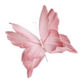 thumbnail image 1 of yotijay Artificial Butterfly Decoration DIY Giant Butterfly for Wedding Bedroom Wall Pink, 1 of 9