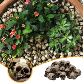 yulier 20 Pcs Halloween Mini Skulls Cute Resin Skull Head Miniature Skeleton Head Small Skeleton Figurines for Halloween Plant Pots Landscape Table Decor