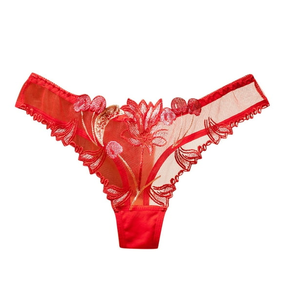 yunLCZ Underwear for Women Cotton Women Mesh Full Transparent Embroidery Panties Wasit Hipster Brief Panties for Ladies