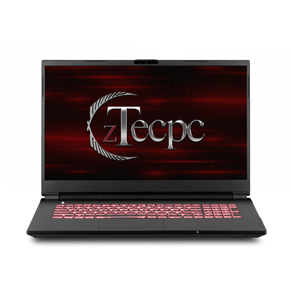 zTecpc zT-NH77DCQ Gaming Laptop (Intel i7-10750H 6-Core, 17.3in 120Hz Full HD (1920x1080), NVIDIA GTX 1660 Ti, 16GB RAM, 256GB m.2 SATA SSD + 500GB HDD, Backlit KB, Win 10 Home) (Refurbished)