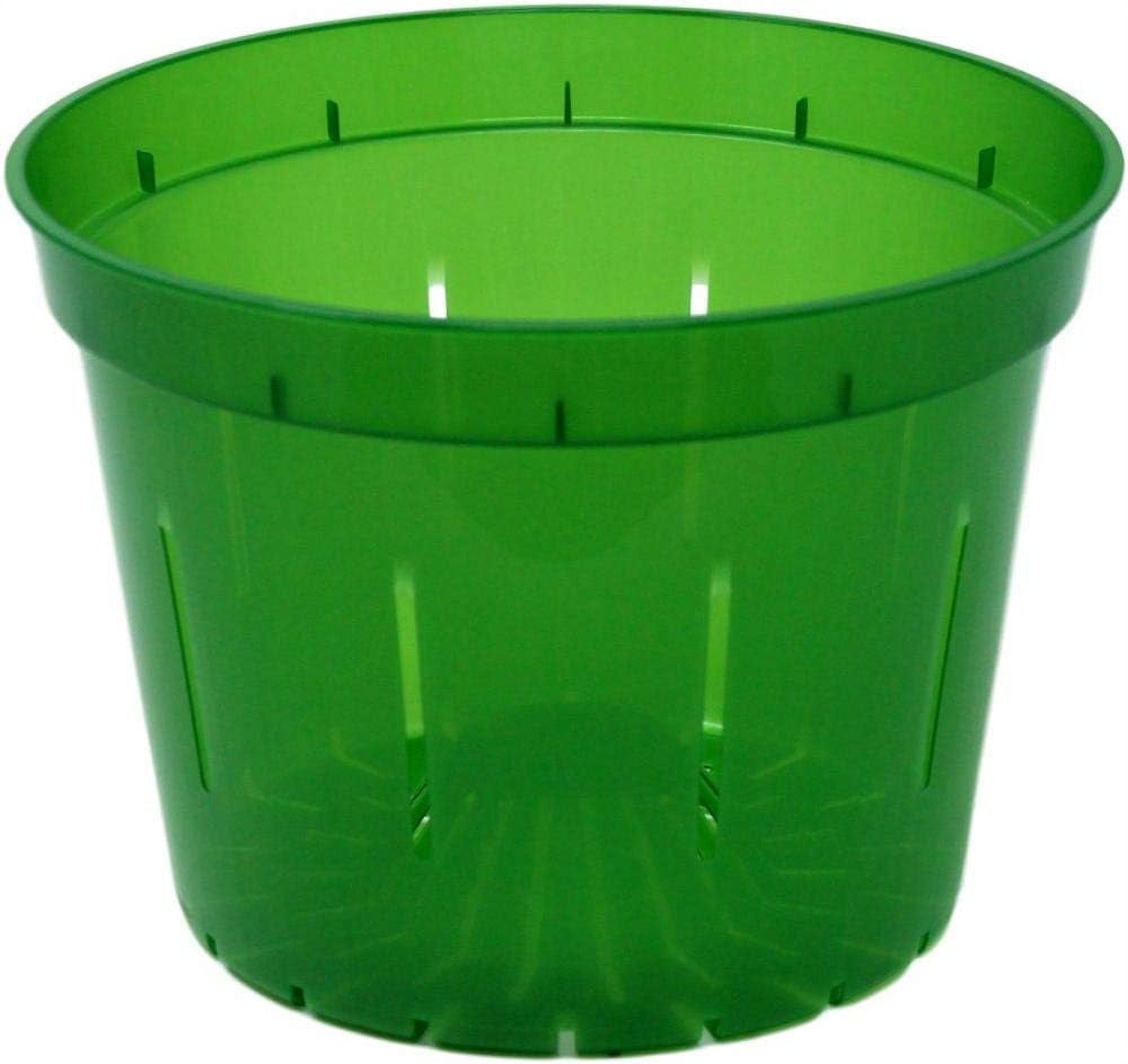 zalema 10 inch Slotted Clear Pots - 3 Pack, Plastic Plant Containers ...