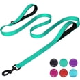 thumbnail image 1 of zalens Dog Leash Double Handle 6ft Long, Padded Traffic Handle and Reflective, Teal, 1 of 6