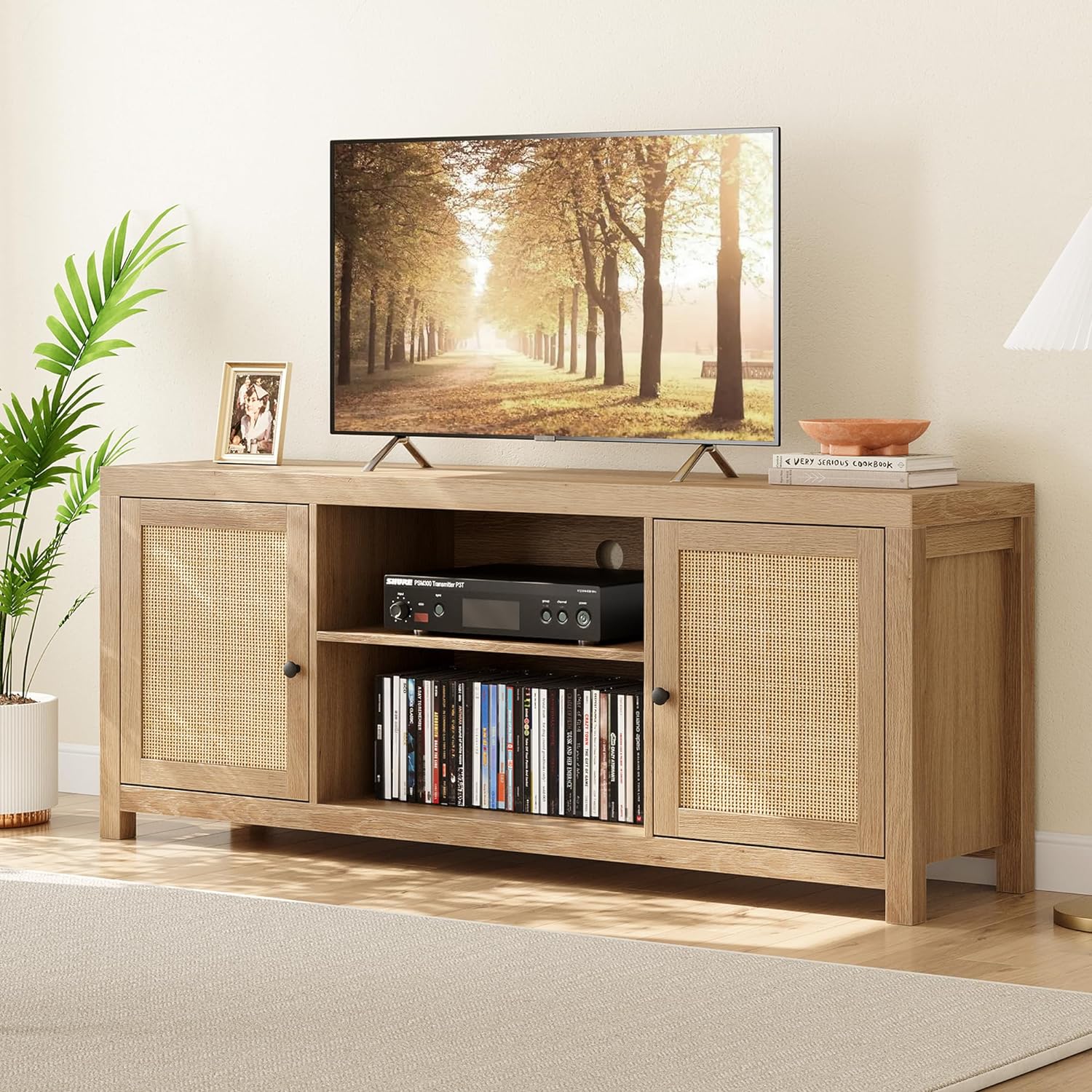 zanzan Rattan TV Stand for 65 Inch, Boho Entertainment Center with