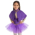 thumbnail image 1 of zdhoor Kids Girls Halloween Circus Trapeze Costume Sequins Ballet Dance Tutu Leotard Dress Purple 6, 1 of 7