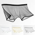 thumbnail image 1 of zeranth Men Sexy Transparent See-Through Mesh Shorts Panties Ultra-Thin Seamless Breathable Mid-rise Underpants, 1 of 7