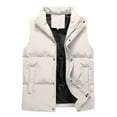 thumbnail image 1 of zfwon Mens Thermal Waistcoats Plus Size Puffer Gilets Thick Sleeveless Zip Up Coats Trendy Stand-Up Collar Vests Casual Warm Padded Down Outerwear with Pockets Size L-8XL, 1 of 7