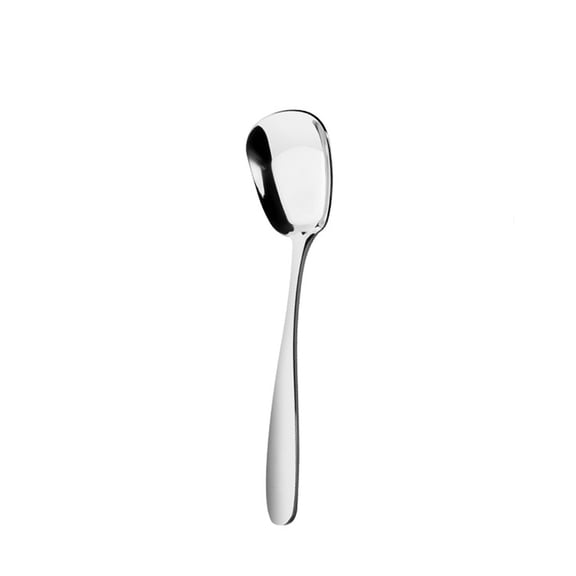 zhonghuaying 1 Pack Small Stainless Steel Spoon, Square Head Metal Dessert Spoon, Kitchen Utensil for Sweets & Coffee