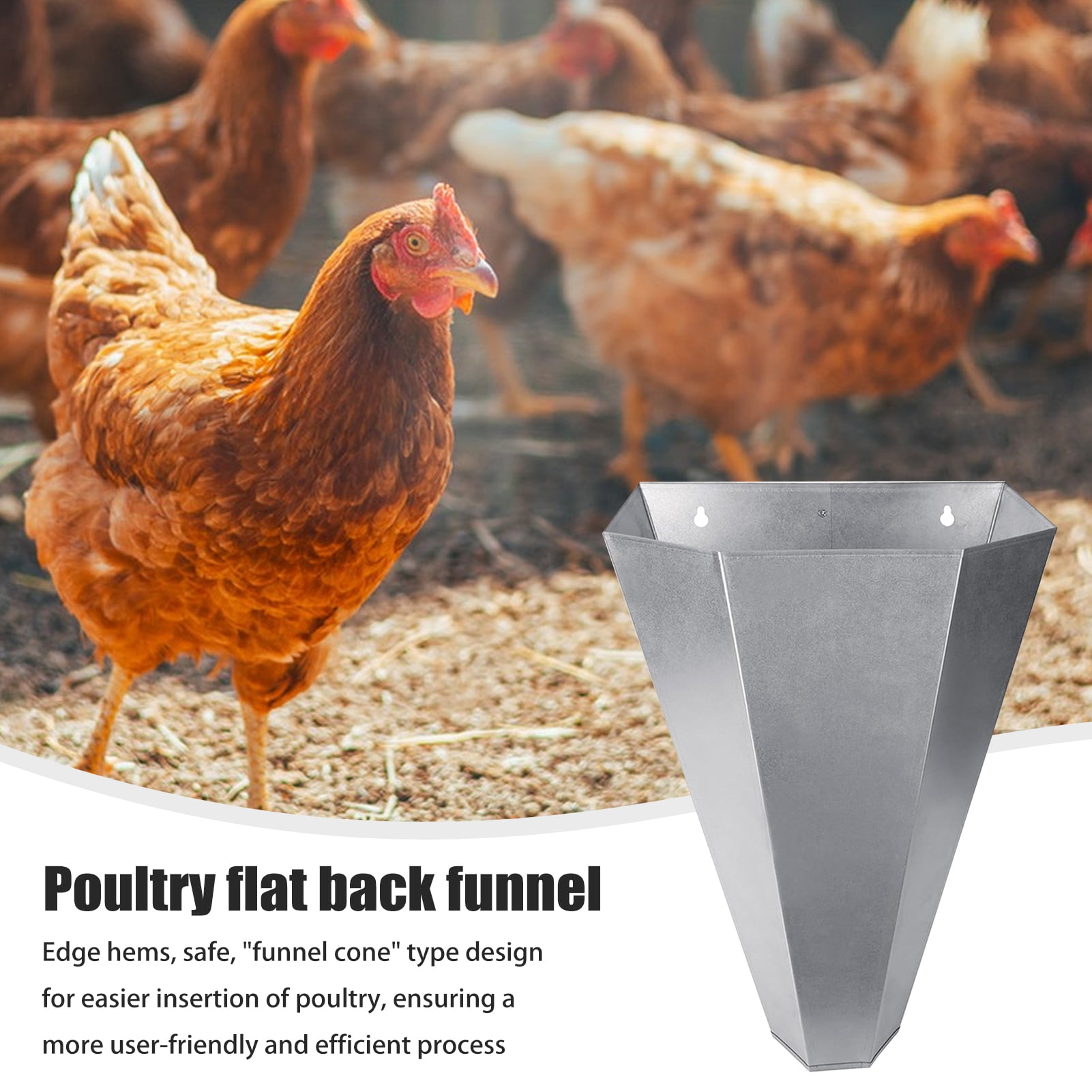ziertyon Chicken Cone Galvanized Steel Poultry Restraining Cone Rust ...
