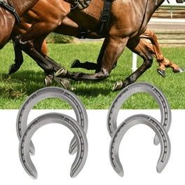 Franklin Sports American Series Horseshoe Set - Steel