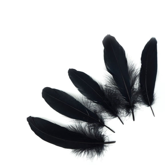 Zucker Feather Products Loose Goose Satinettes Dyed Feathers - 4.5-6" - Black